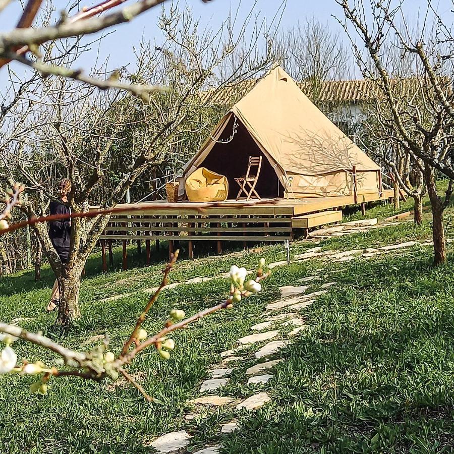 לוריניה The Far End Surf House - Surf & Yoga Holidays מראה חיצוני תמונה