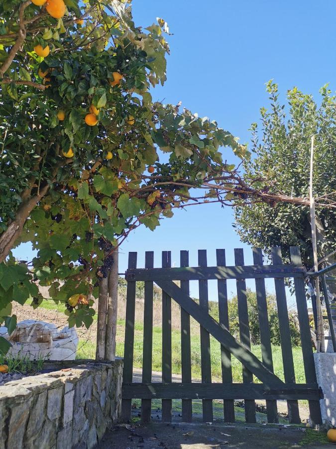 לוריניה The Far End Surf House - Surf & Yoga Holidays מראה חיצוני תמונה